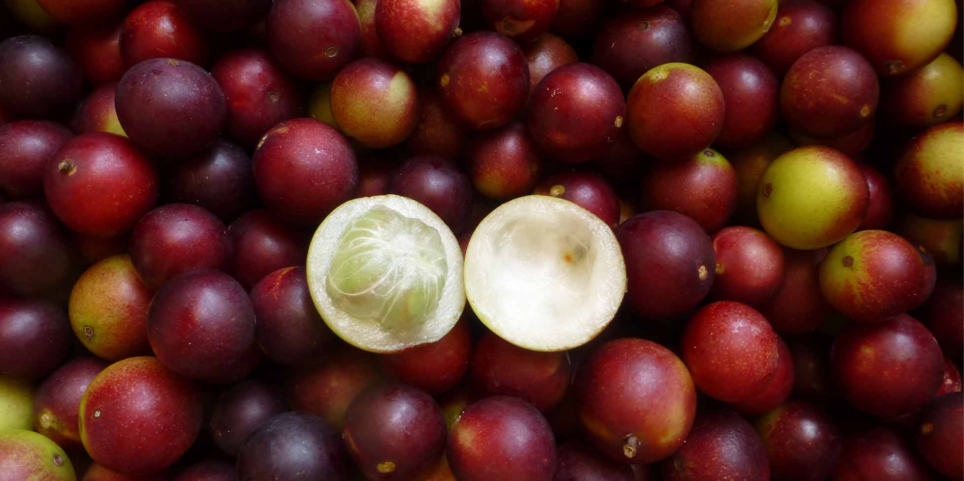 Camu-Camu