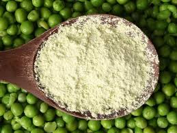 Pea Protein
