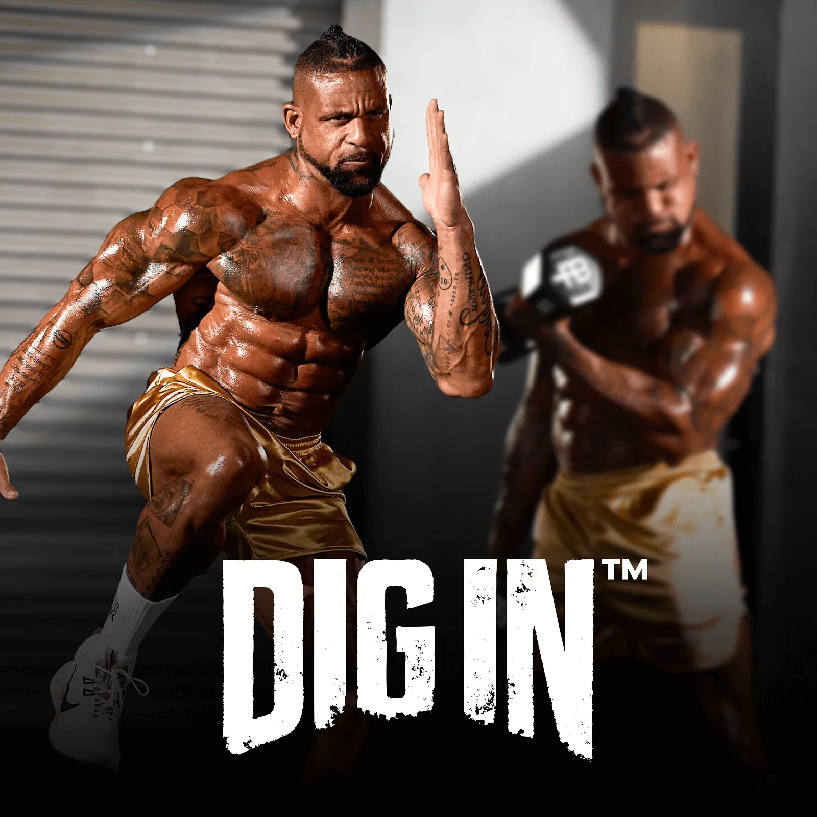 Dig In